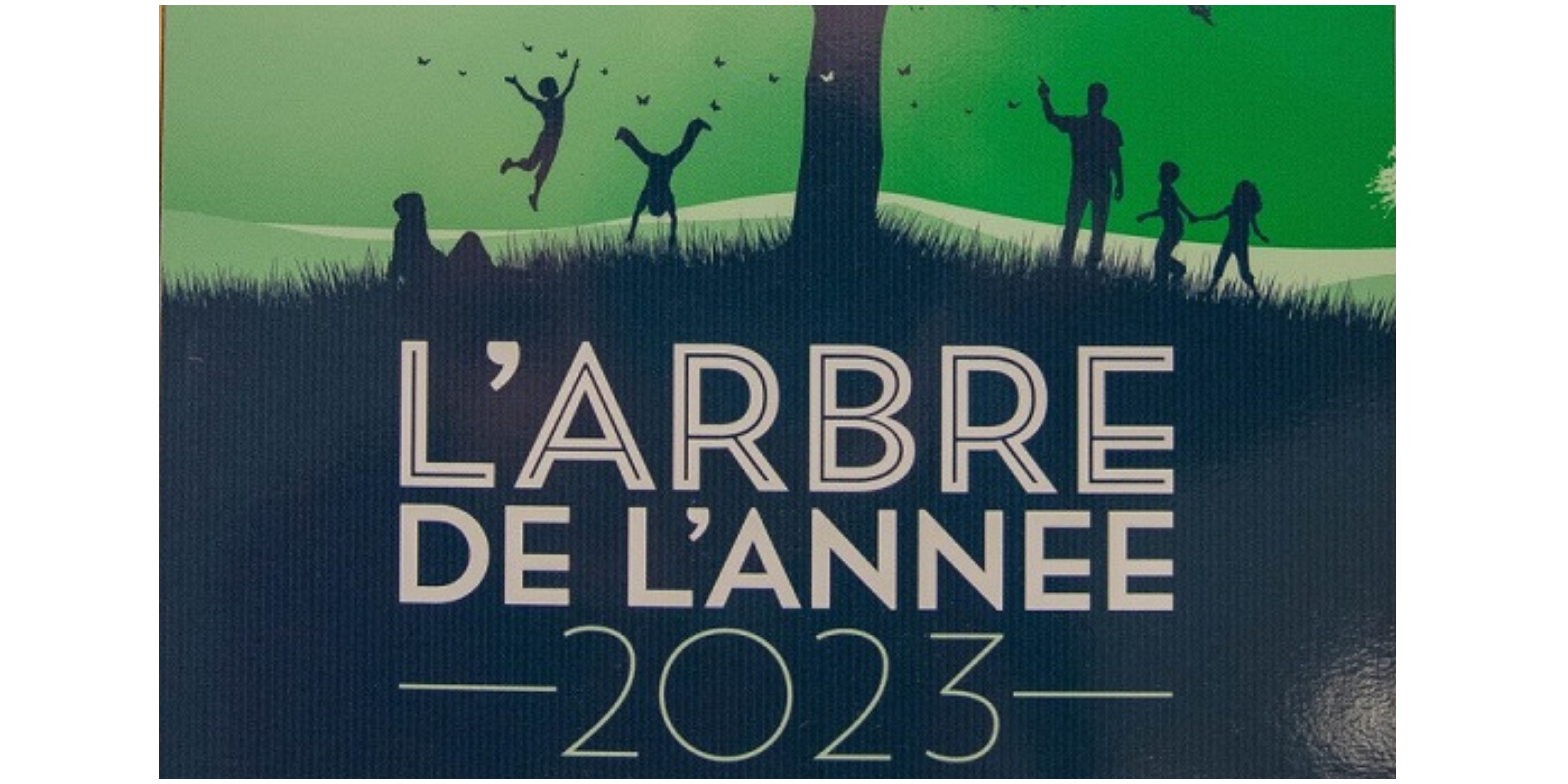 Arbre de l&rsquo;année
